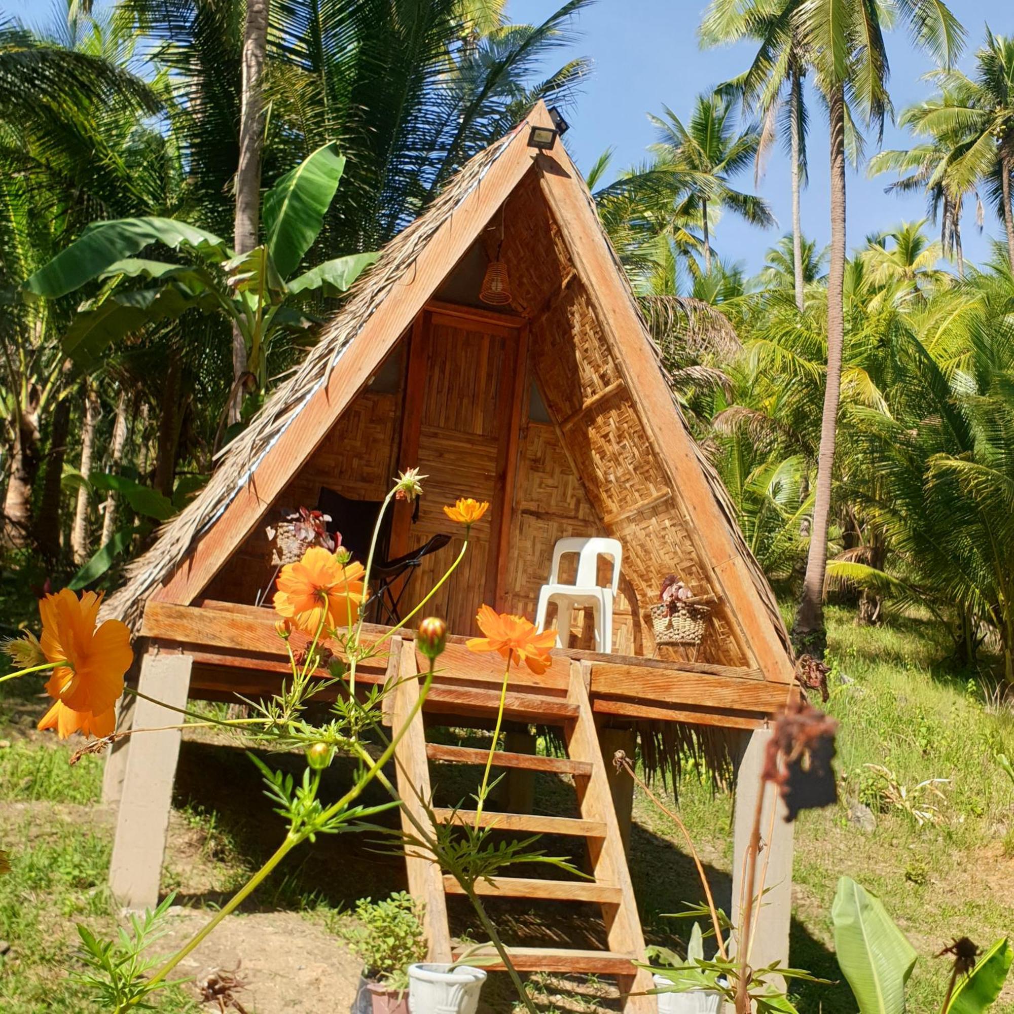 Luxury tent Era's Garden Catmon