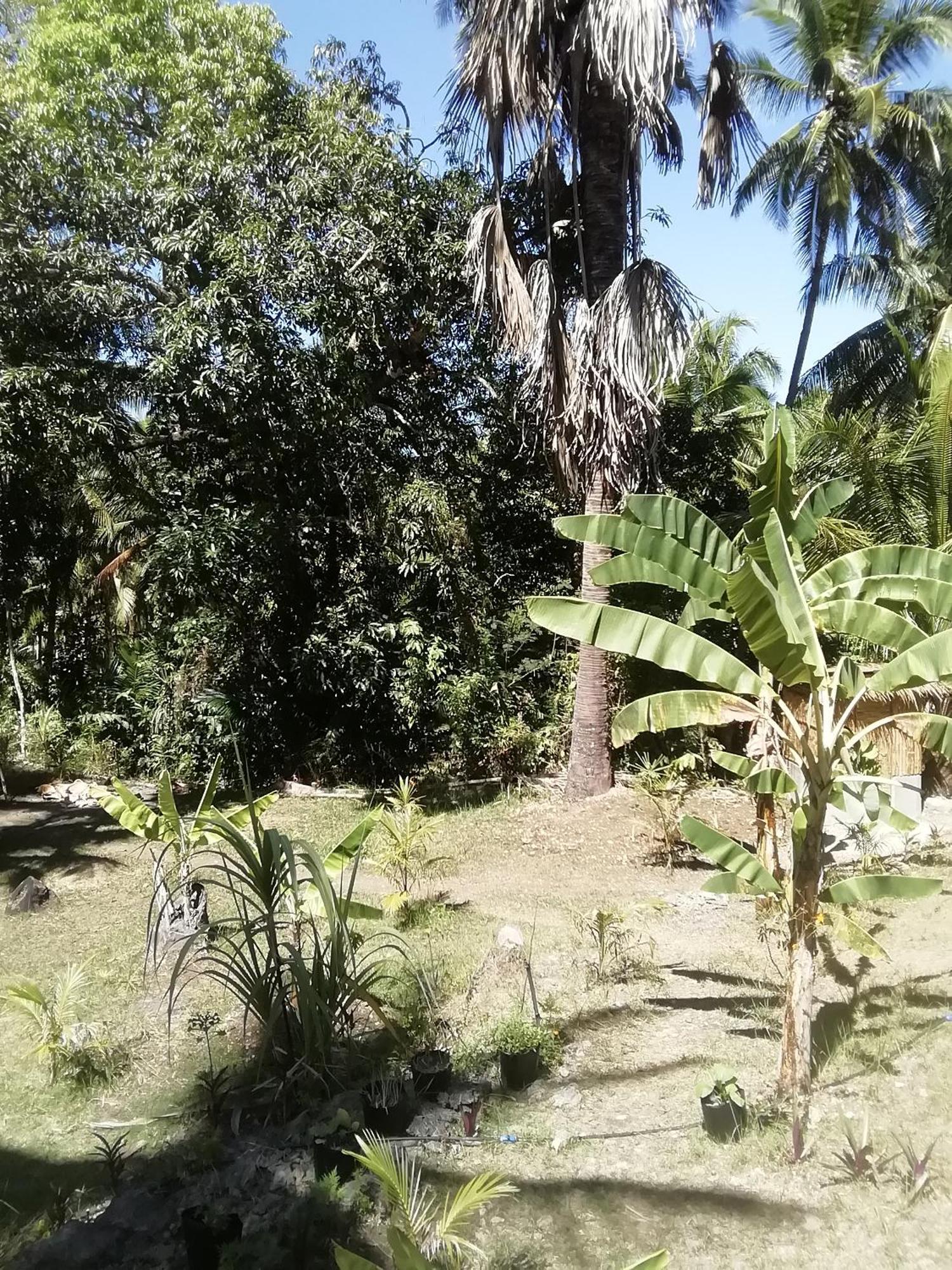 Era's Garden