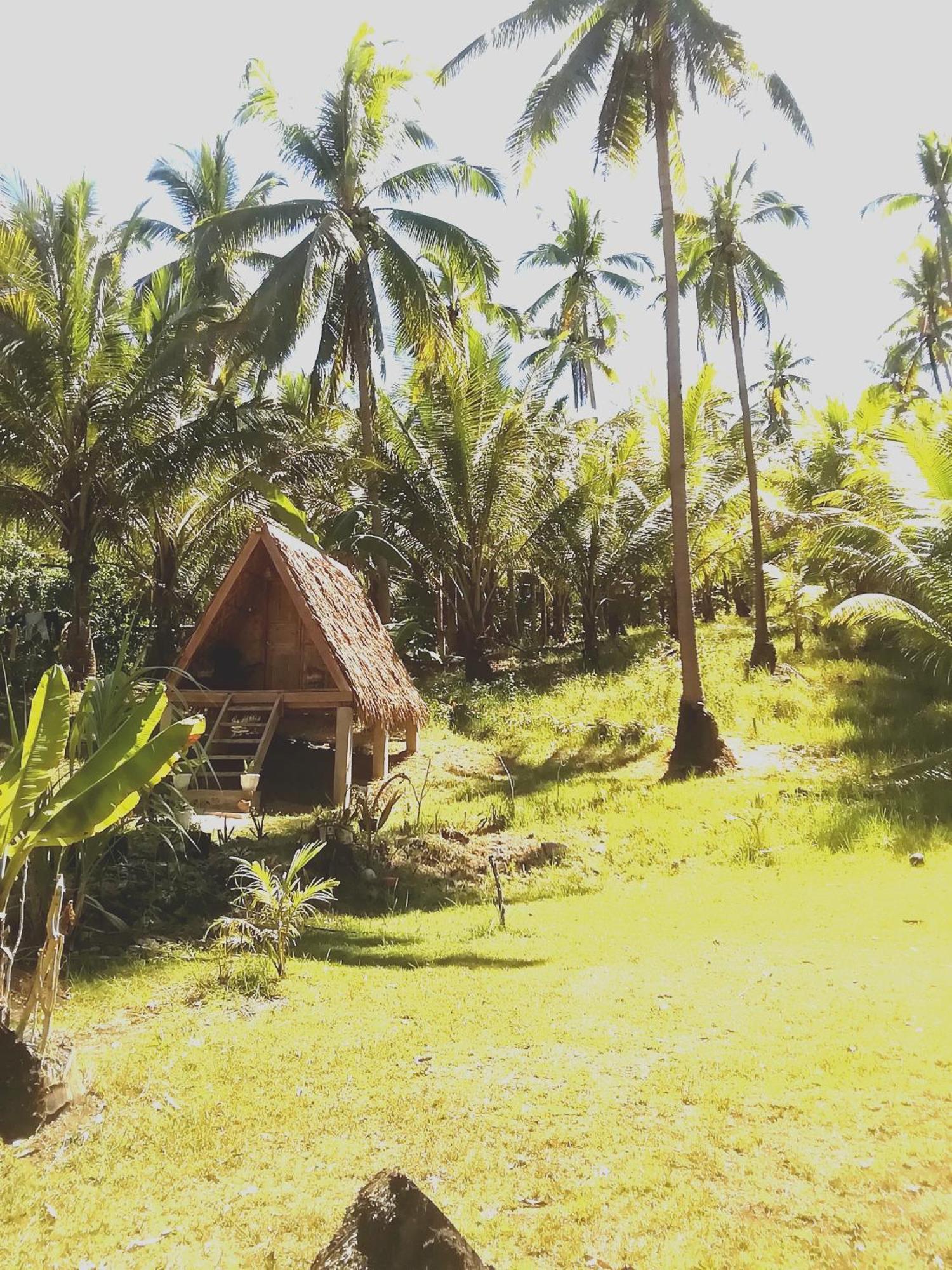 Era's Garden