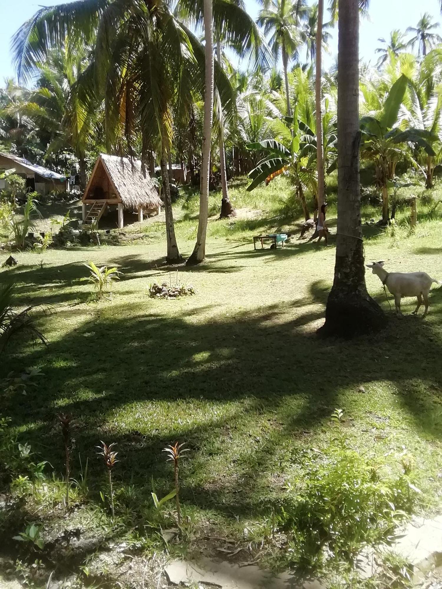 Luxury tent Era's Garden *