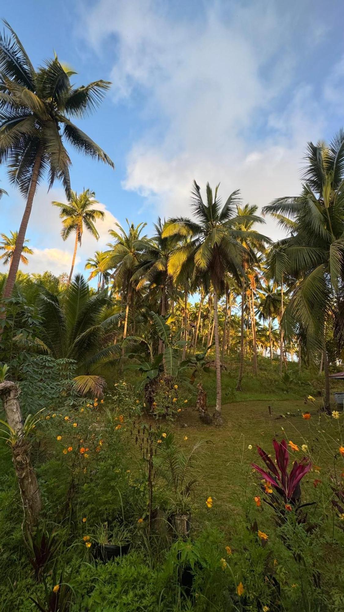 Luxury tent Era's Garden